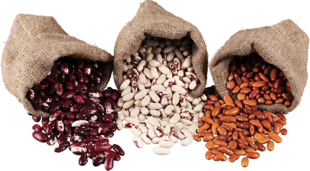 Spilled Sack of Red, White and Brown Beans - Isolated